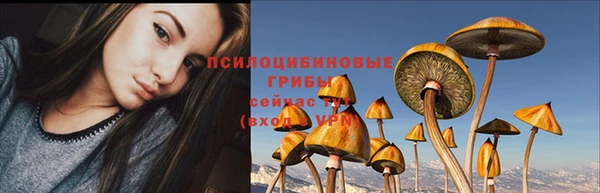 СК Кодинск