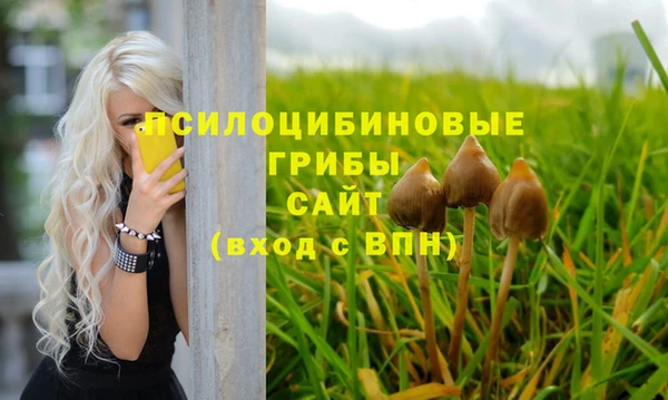 СК Кодинск