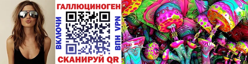 Псилоцибиновые грибы Cubensis  Купить  Белореченск 
